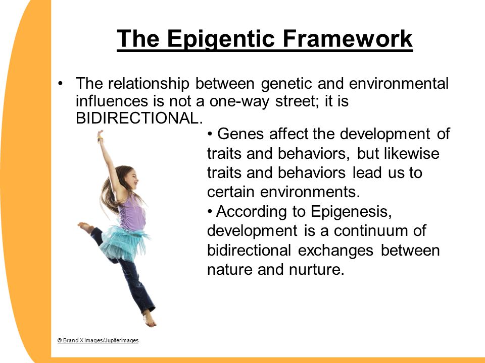 A discussion of the relationship between development and genetics